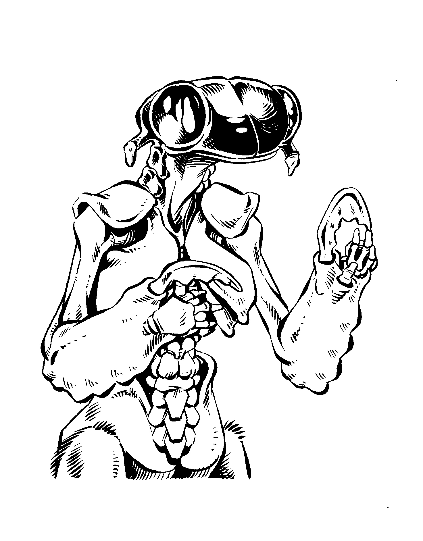 Illustration, manual p.39